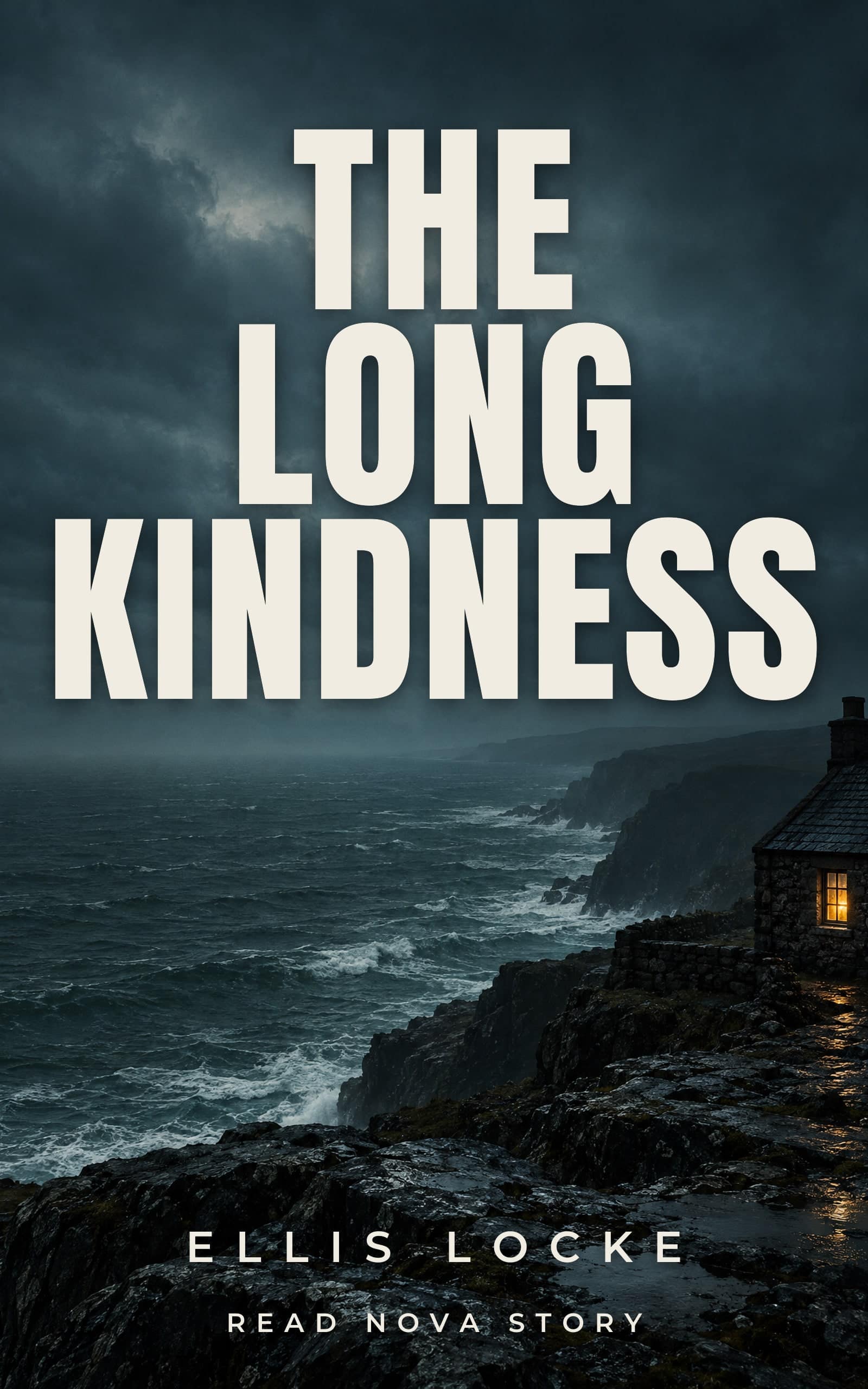 The Long Kindness by Ellis Locke — cover